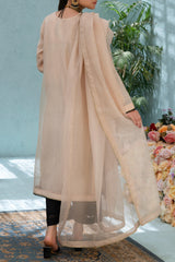 Beige Embroidered Dress - 2 Piece Festive Dress