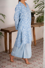 SKY BLUE 2 PC SUIT