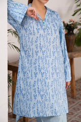 SKY BLUE 2 PC SUIT